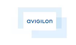 avigilion